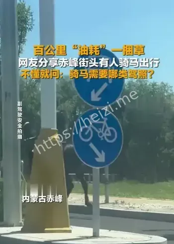 骑马送外卖真实故事